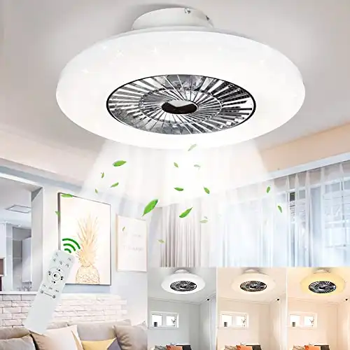 DLLT LED Remote Ceiling Fan with Light