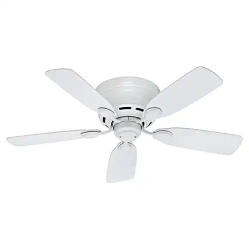 Hunter Fan Company 51059 Indoor Low Profile IV Ceiling Fan with Pull Chain Control